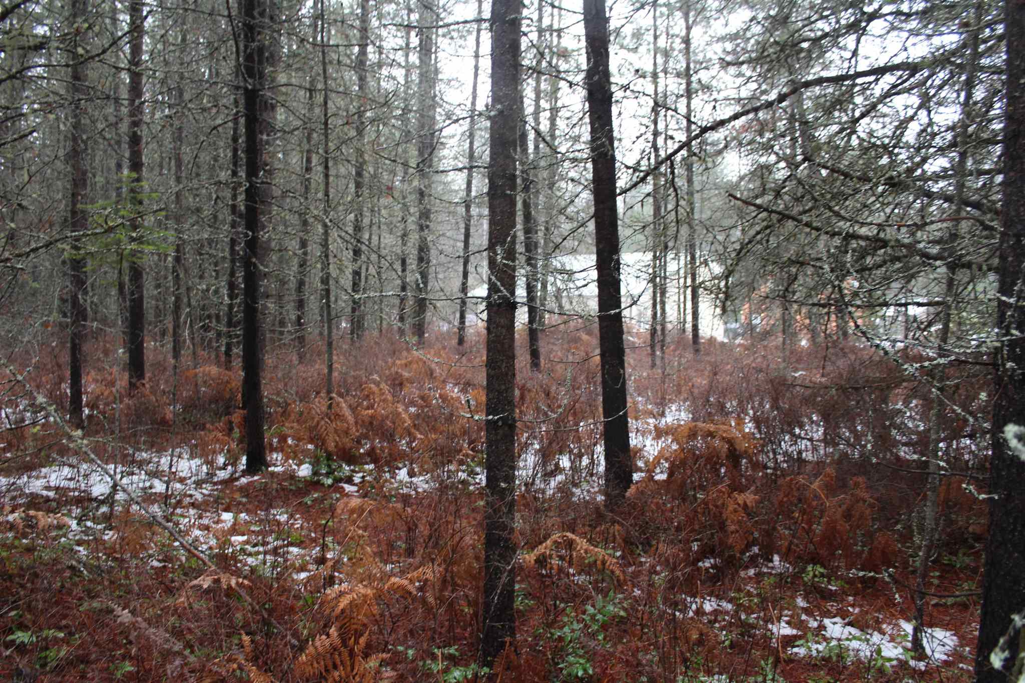 Nka Northstar Road Cusick, WA 99119 - Photo 11 of 24