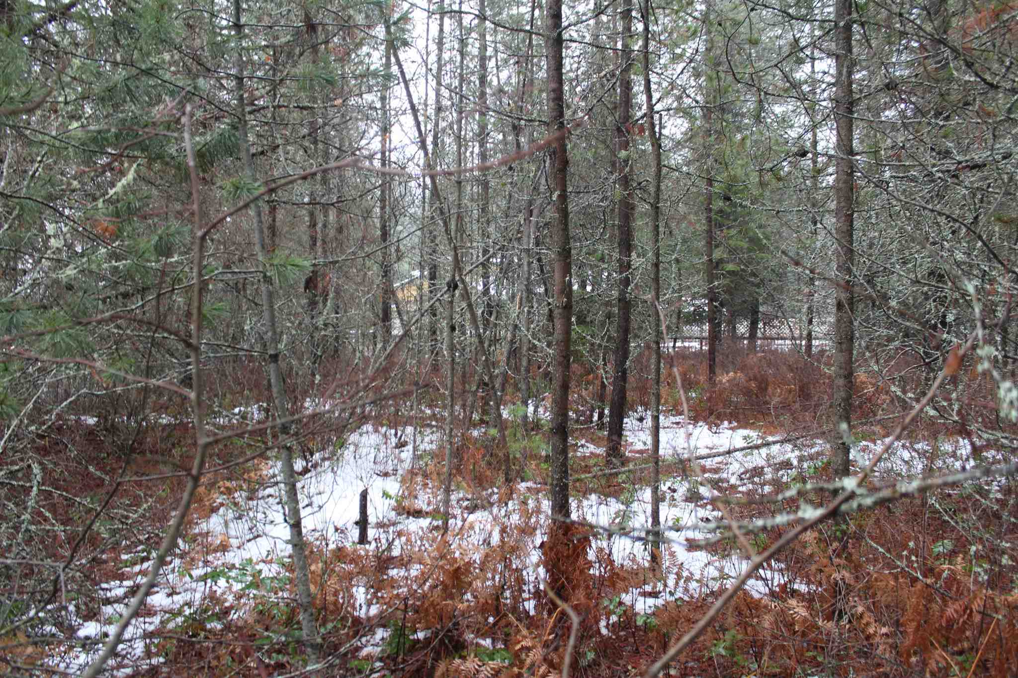 Nka Northstar Road Cusick, WA 99119 - Photo 14 of 24