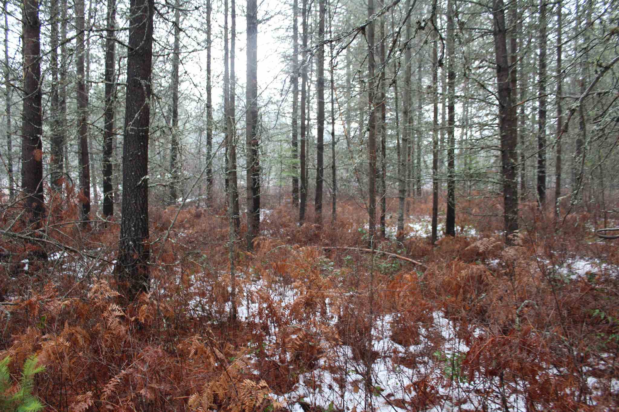 Nka Northstar Road Cusick, WA 99119 - Photo 16 of 24
