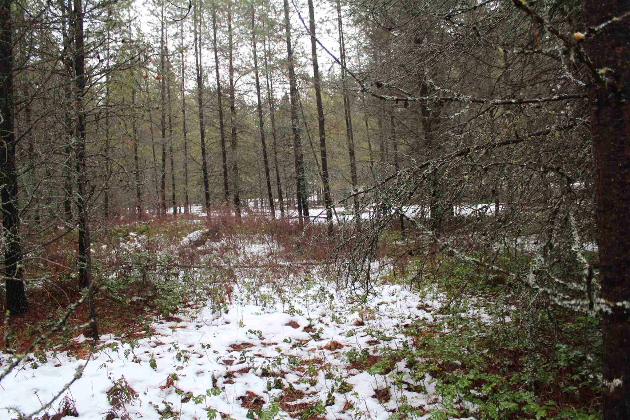 Nka Northstar Road Cusick, WA 99119 - Photo 17 of 24