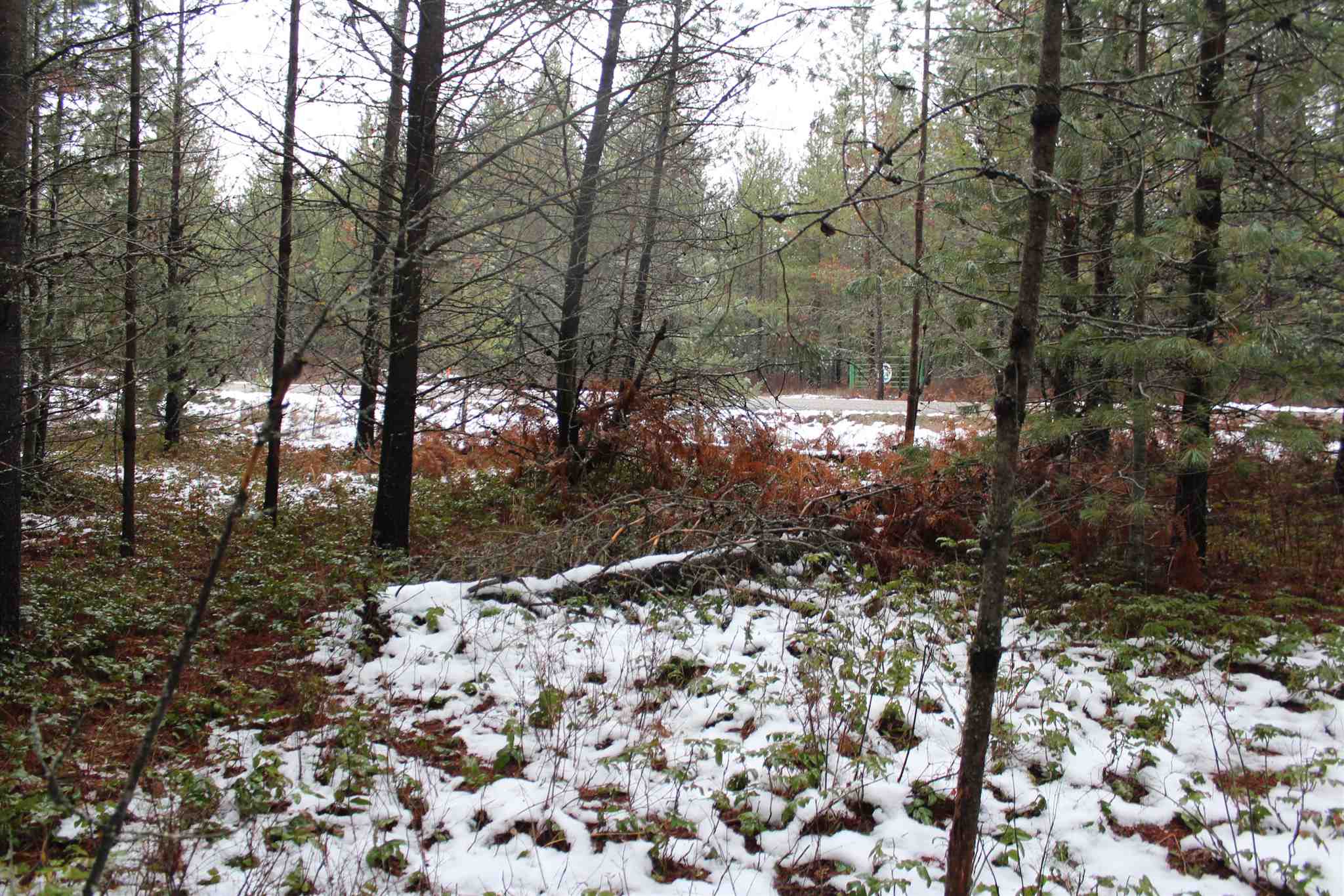 Nka Northstar Road Cusick, WA 99119 - Photo 18 of 24