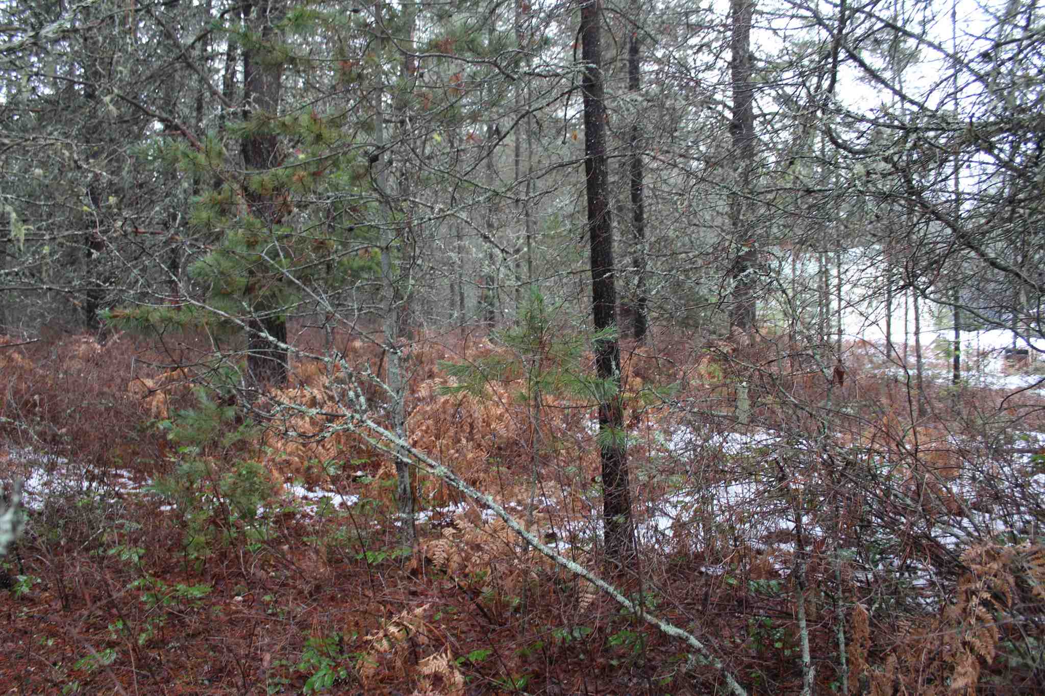 Nka Northstar Road Cusick, WA 99119 - Photo 19 of 24