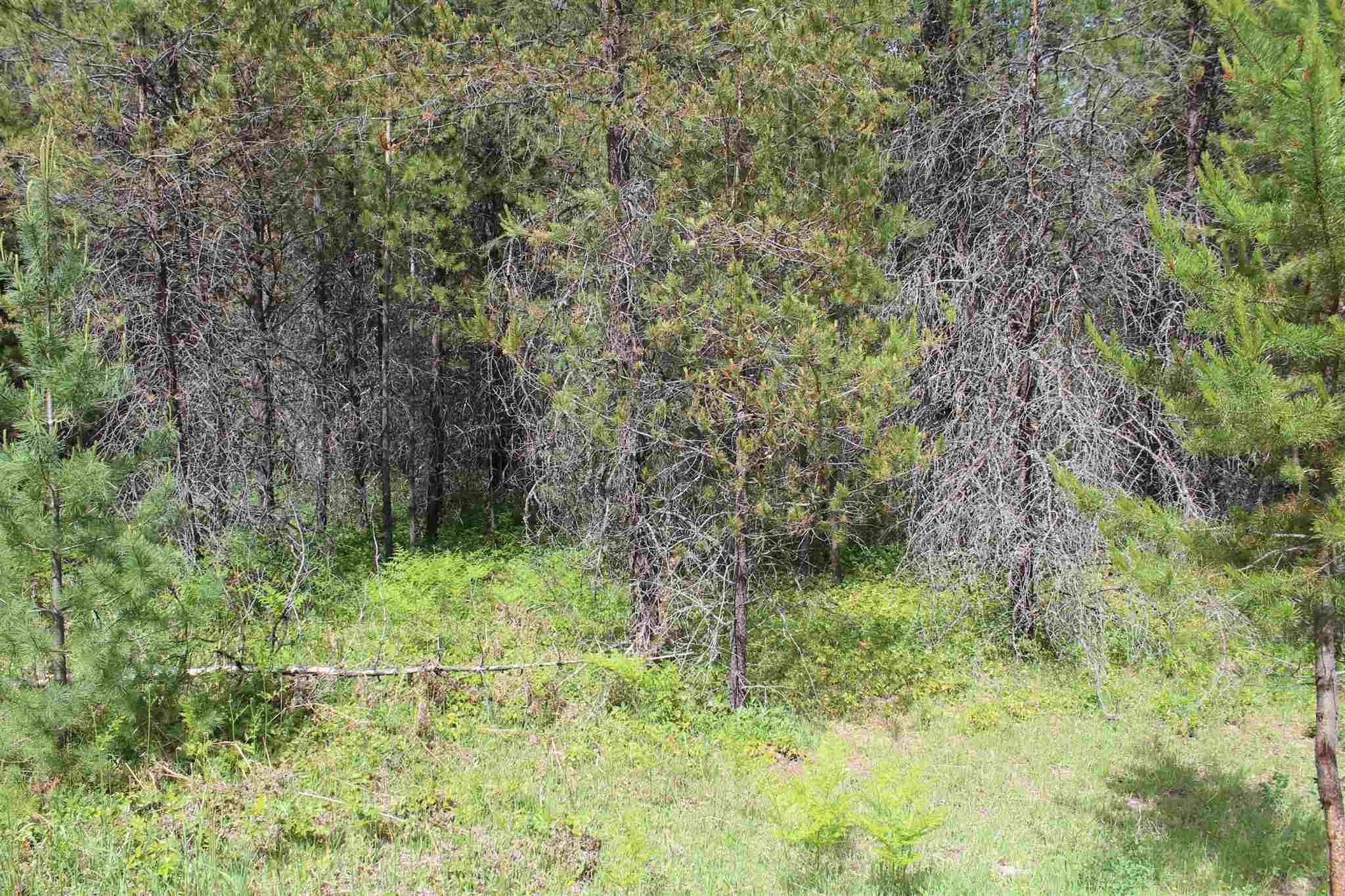 Nka Northstar Road Cusick, WA 99119 - Photo 21 of 24