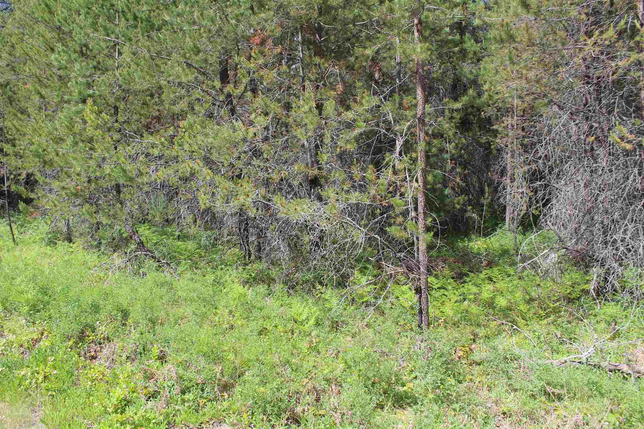 Nka Northstar Road Cusick, WA 99119 - Photo 22 of 24