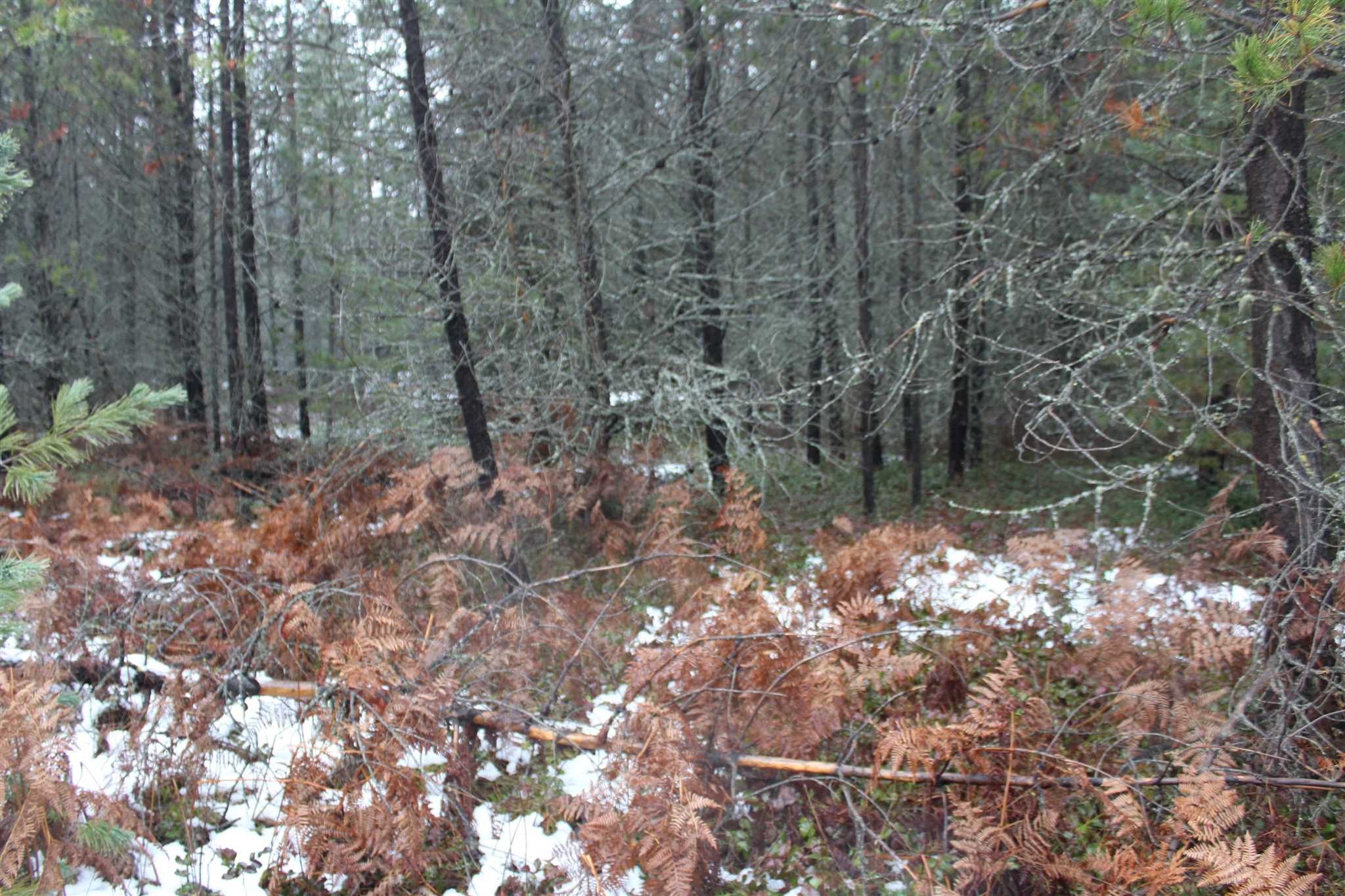 Nka Northstar Road Cusick, WA 99119 - Photo 8 of 24