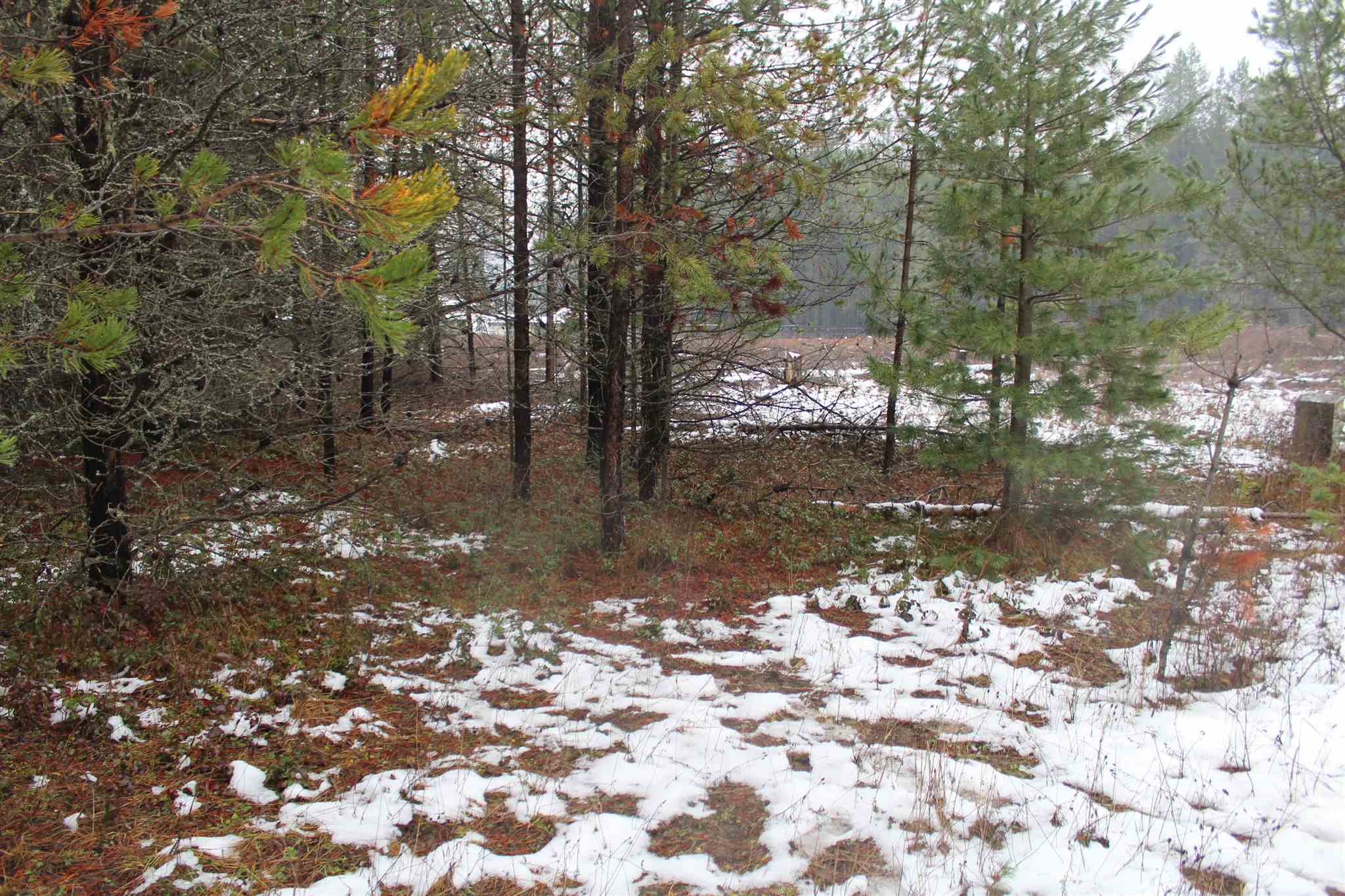 Nka Northstar Road Cusick, WA 99119 - Photo 10 of 24