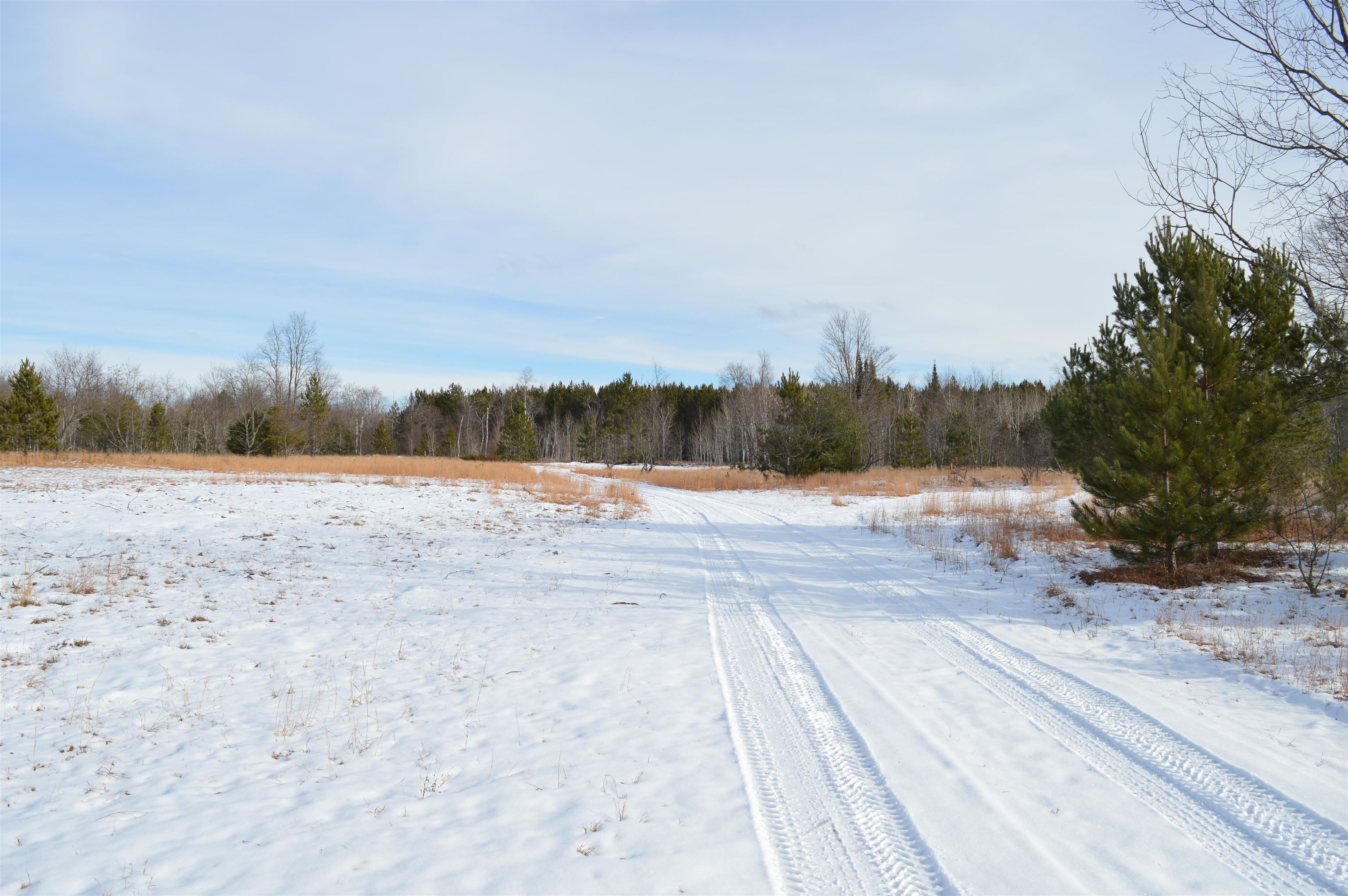 Off Wood Road Northeast Kalkaska, MI 49646 - Photo 12 of 22