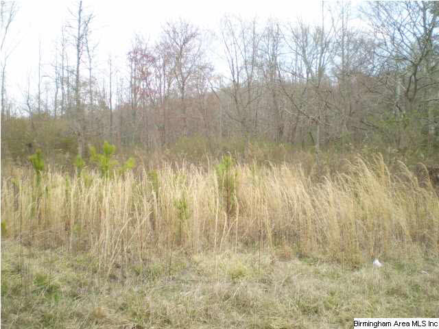 394 Old Springville Road Odenville, AL 35120 - Photo 1 of 1