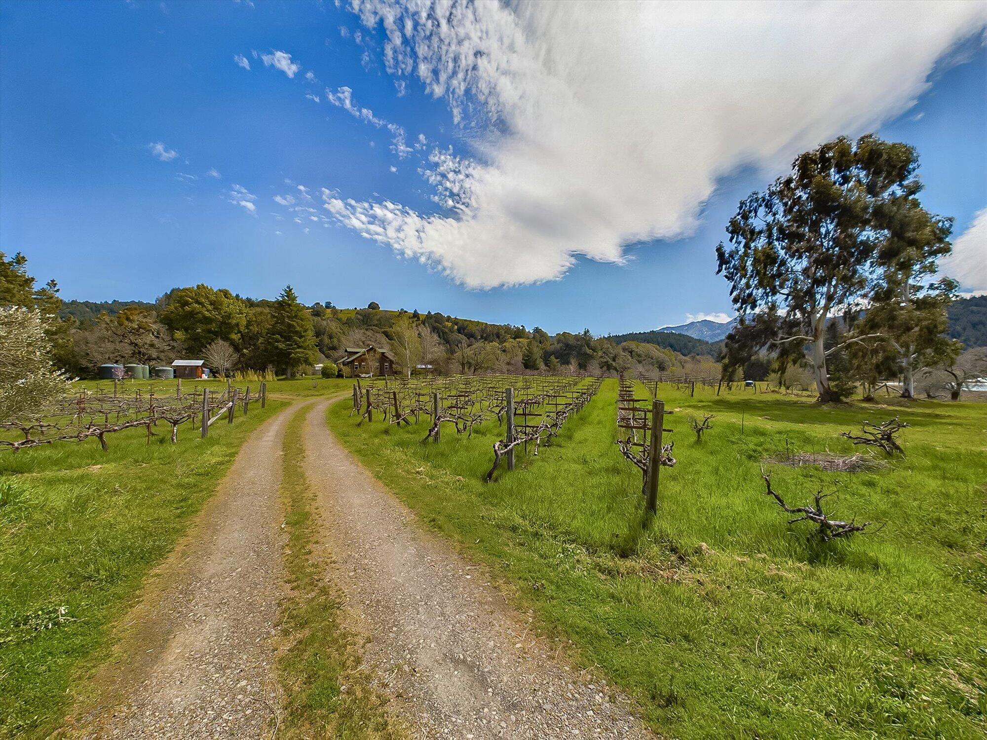 650 Old Hindley Ranch Road Petrolia, CA 95558 - Photo 9 of 61