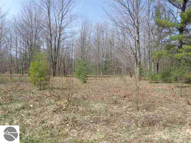 Lot 10 Roberts Road, Unit LOT: 10 Beulah, MI 49617 - Photo 16 of 20 Gallery Image 16