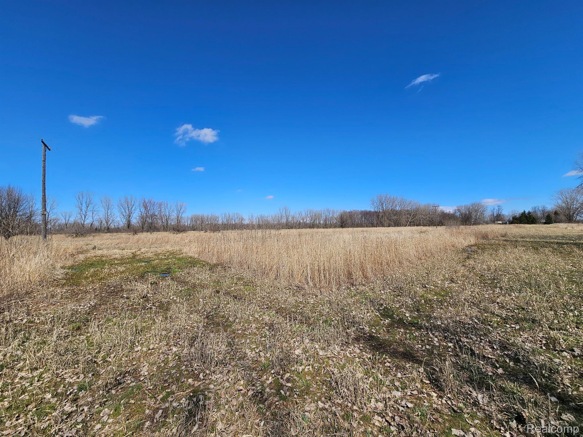 0 Martin Road North Imlay City, MI 48444 - Photo 6 of 12 Gallery Image 6