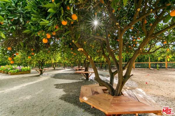 $9,200 | 2561 Grand Avenue, Ojai, CA 93023