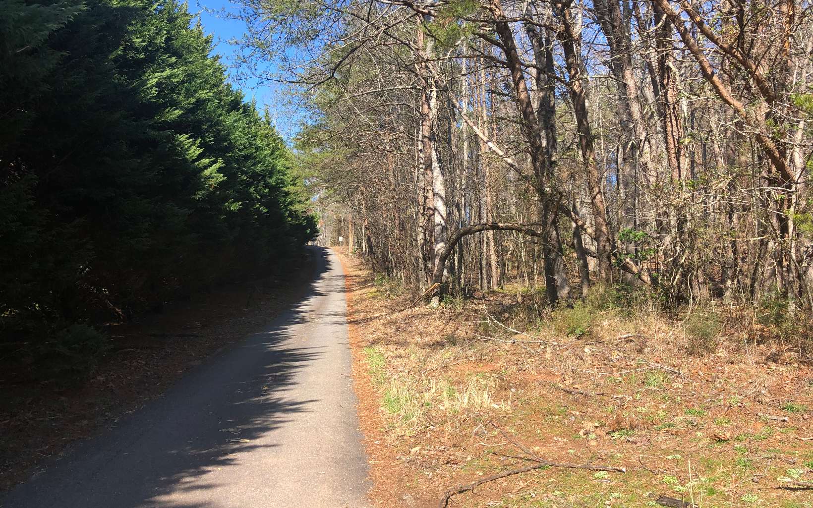 Hooper Cove Road Young Harris, GA 30582 - Photo 1 of 1 Main View