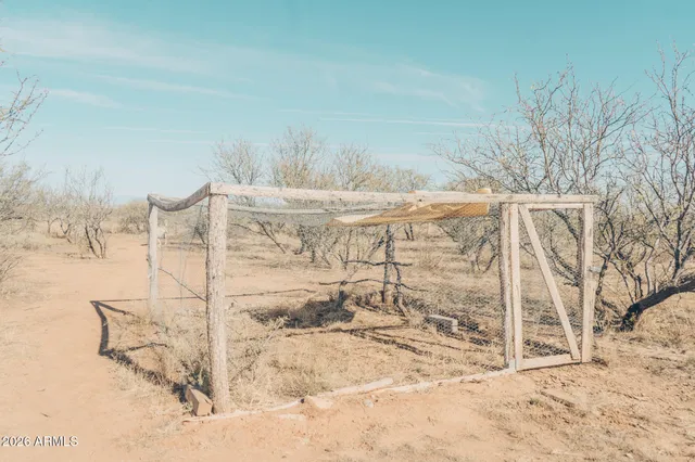 a view of a yard with wooden fence