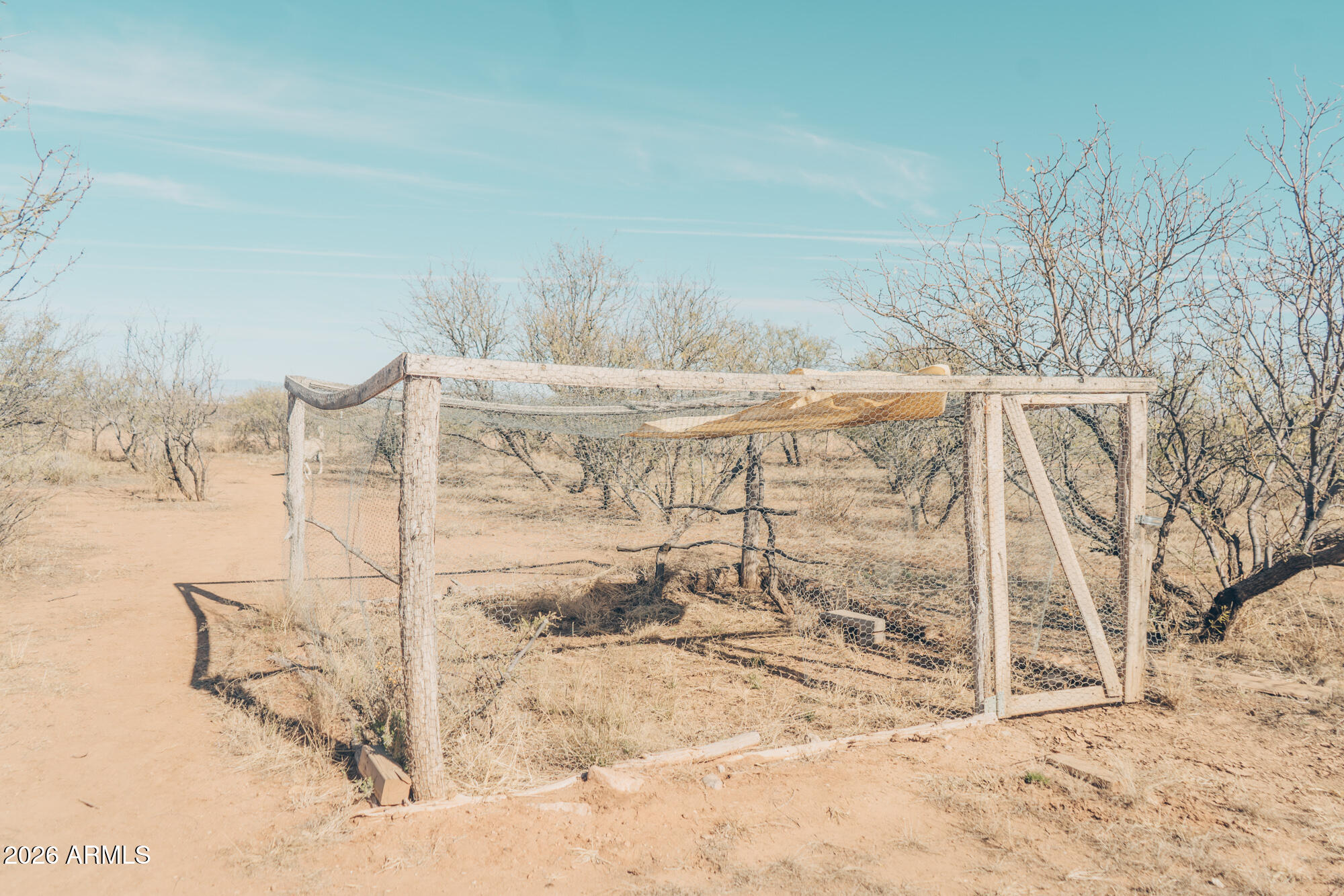 514 East Pearce Road Pearce, AZ 85625 - Photo 22 of 26 Chicken Coop