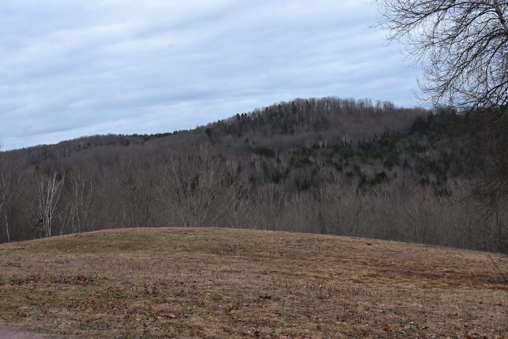 0 Downing Road Topsham, VT 05076 - Photo 1 of 4