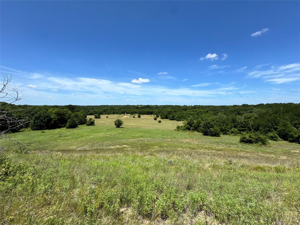 2740 County Road 2740 Decatur, TX 76234 - Photo 12 of 20 a view of an outdoor space and yard