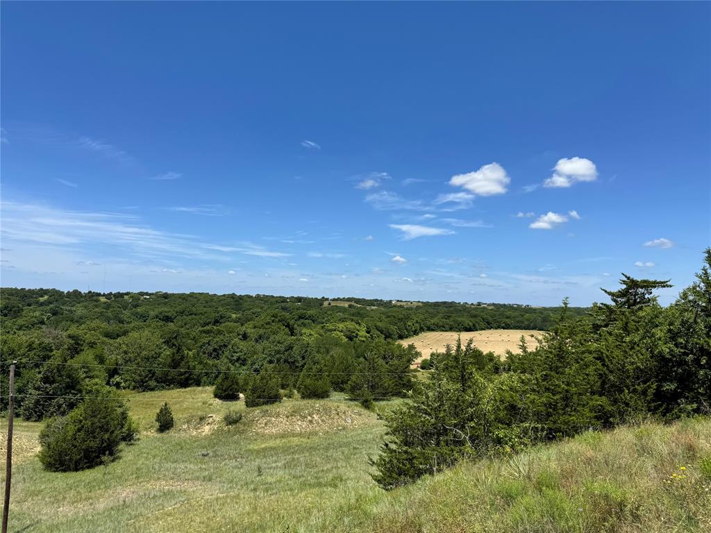 2740 County Road 2740 Decatur, TX 76234 - Photo 14 of 20 a view of a lake with a yard