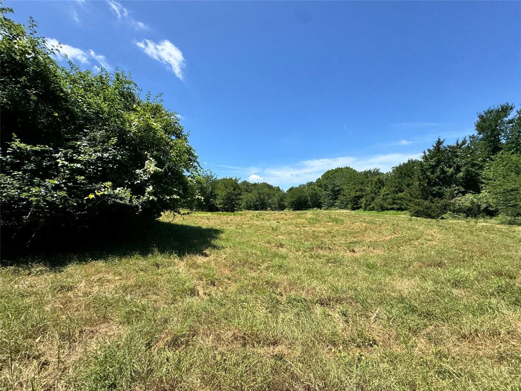 2740 County Road 2740 Decatur, TX 76234 - Photo 15 of 20 a view of lake with green space