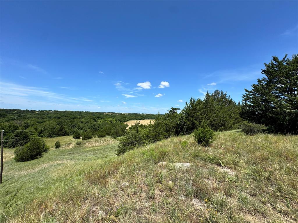 2740 County Road 2740 Decatur, TX 76234 - Photo 17 of 20 a view of a yard with a tree