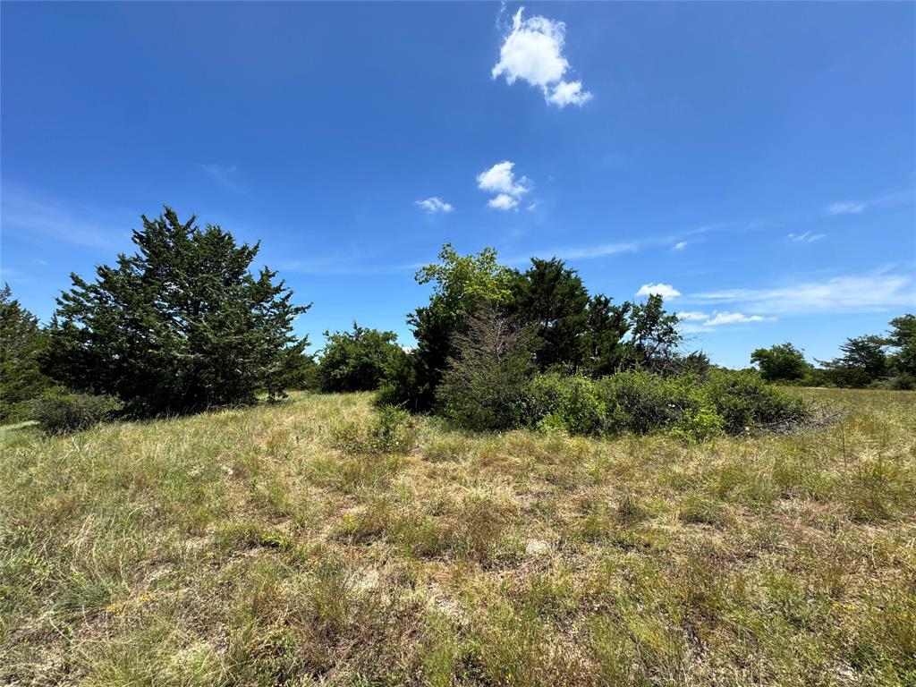 2740 County Road 2740 Decatur, TX 76234 - Photo 18 of 20 a view of a yard with an tree
