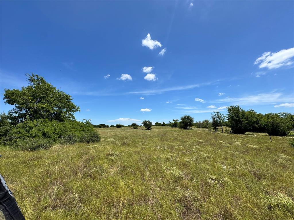 2740 County Road 2740 Decatur, TX 76234 - Photo 19 of 20 a view of a big yard with large trees