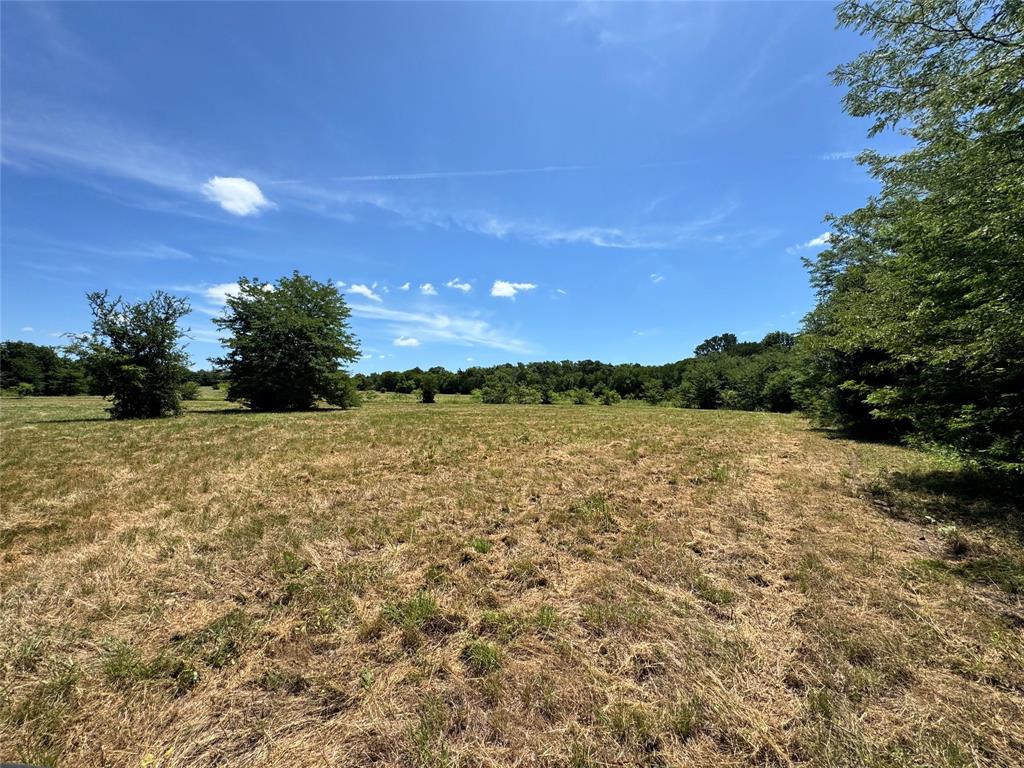 2740 County Road 2740 Decatur, TX 76234 - Photo 2 of 20 a view of lake with green space