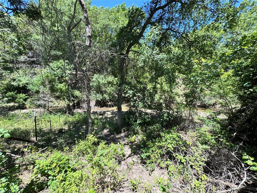 2740 County Road 2740 Decatur, TX 76234 - Photo 6 of 20 a view of a garden with a tree