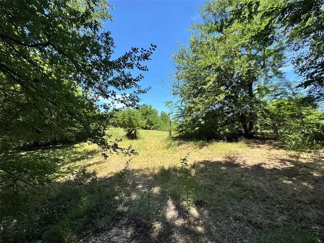 a view of a yard with a tree