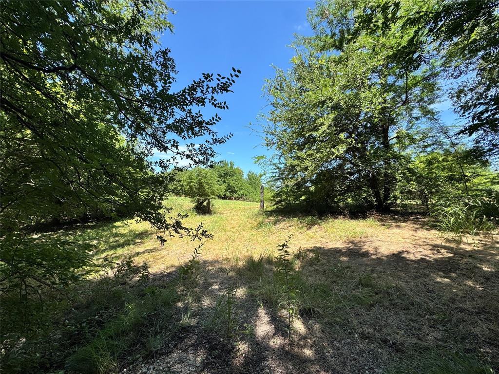 2740 County Road 2740 Decatur, TX 76234 - Photo 7 of 20 a view of a yard with plants and a tree