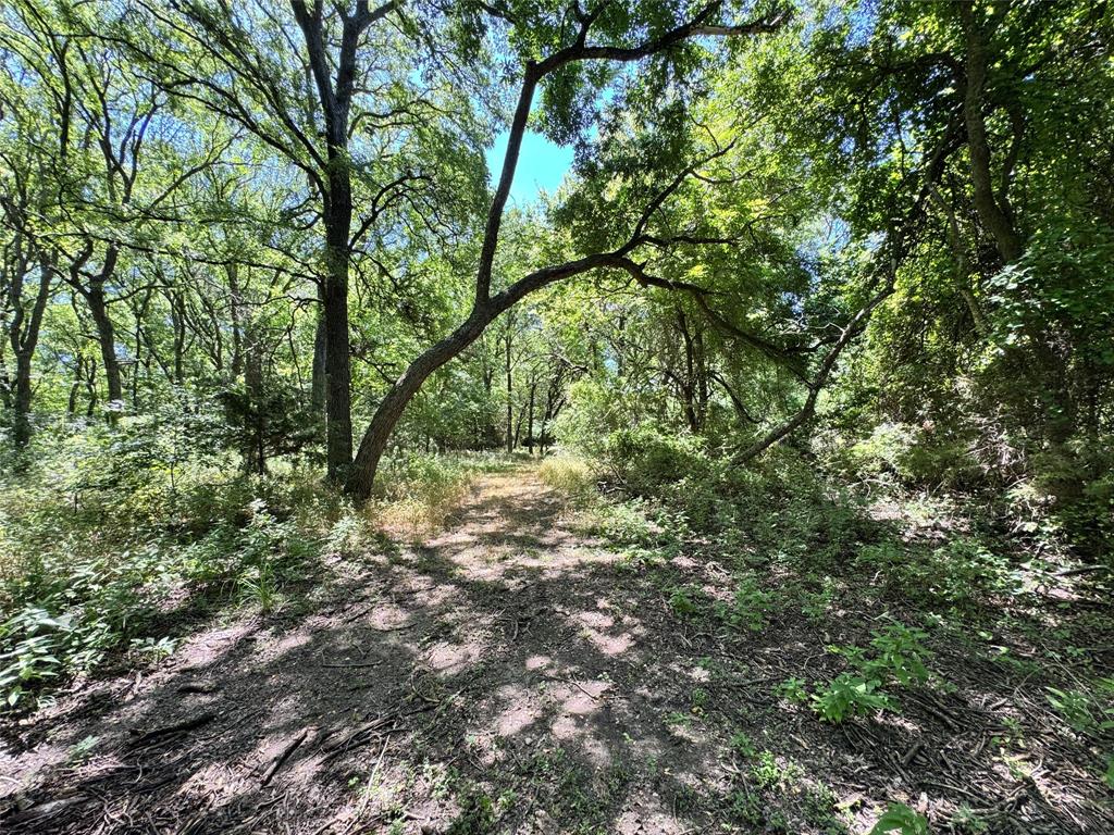 2740 County Road 2740 Decatur, TX 76234 - Photo 9 of 20 a view of forest