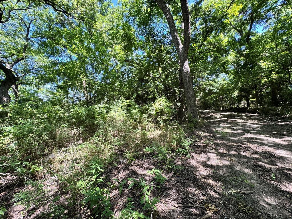 2740 County Road 2740 Decatur, TX 76234 - Photo 10 of 20 a view of outdoor space and trees