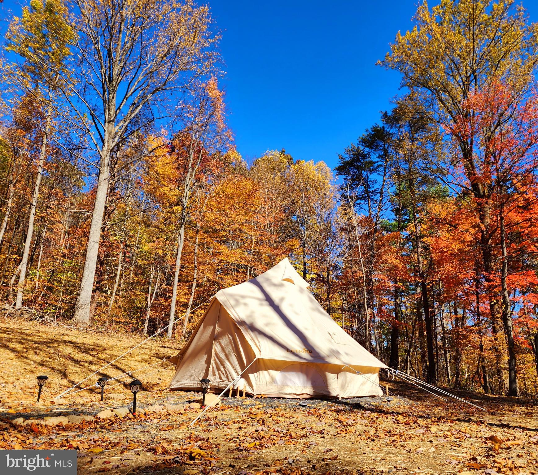 0 Gooney Manor Loop Bentonville, VA 22610 - Photo 15 of 17 a view of a yard with wooden fence
