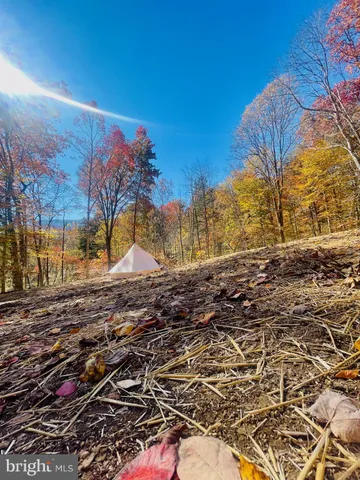a view of a yard with wooden fence