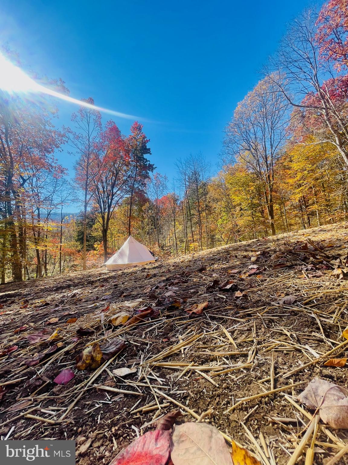 0 Gooney Manor Loop Bentonville, VA 22610 - Photo 17 of 17 a view of a yard with wooden fence