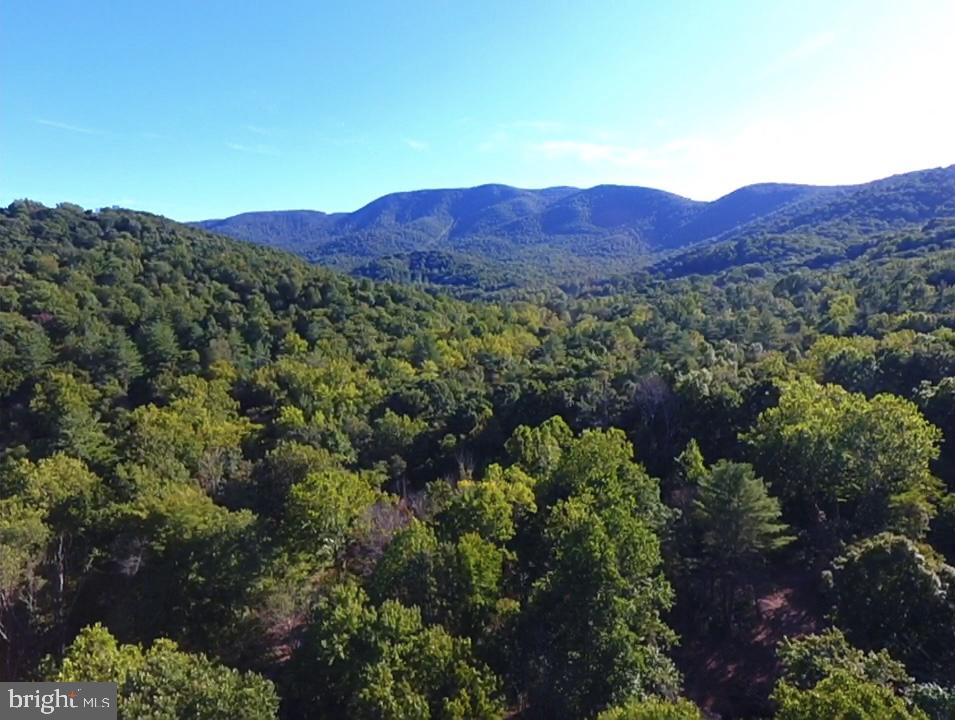0 Gooney Manor Loop Bentonville, VA 22610 - Photo 3 of 17 a view of a lush green field with mountains in the background