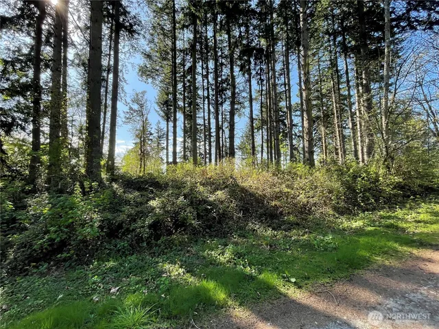 a view of swimming pool from a lake view