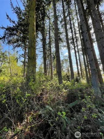 a view of building with trees in the background