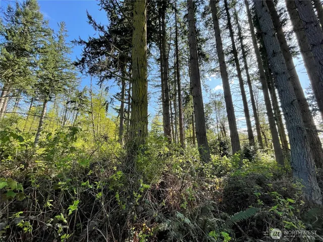 $29,950 | 99 B Port, Everett, WA 98201