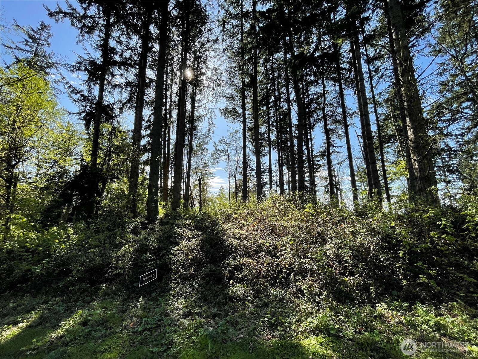 99 B Port Everett, WA 98201 - Photo 22 of 22 a view of building with trees in the background