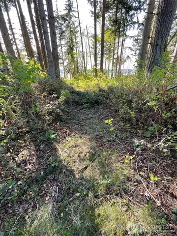 a backyard of a building with lots of plants and trees