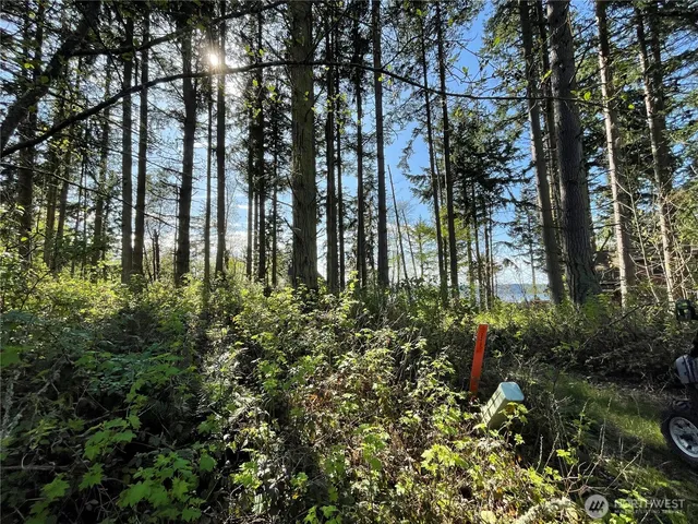 a view of an ocean beach