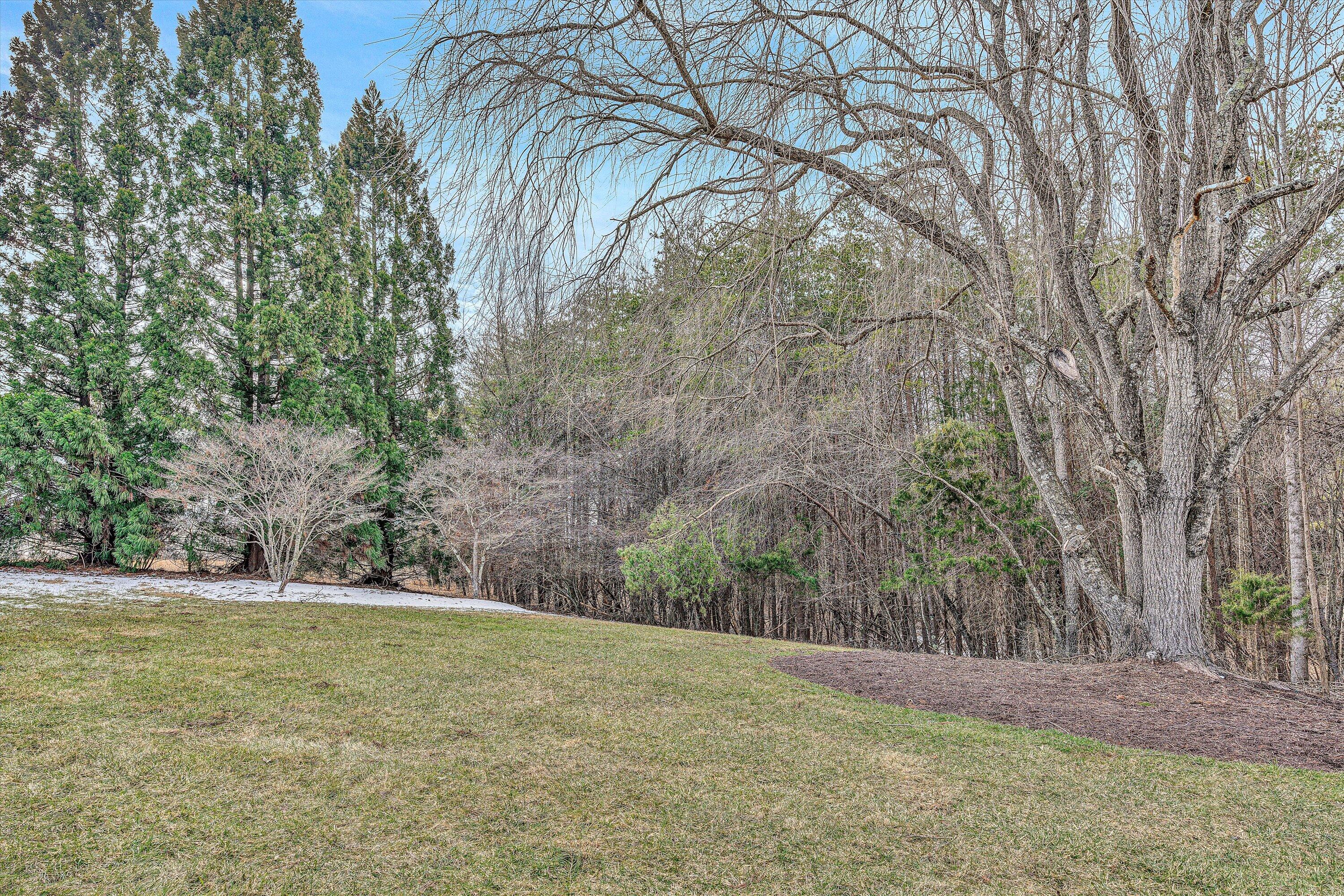 540 Cedar Ridge Road Union Hall, VA 24176 - Photo 37 of 46 a view of a yard with large trees
