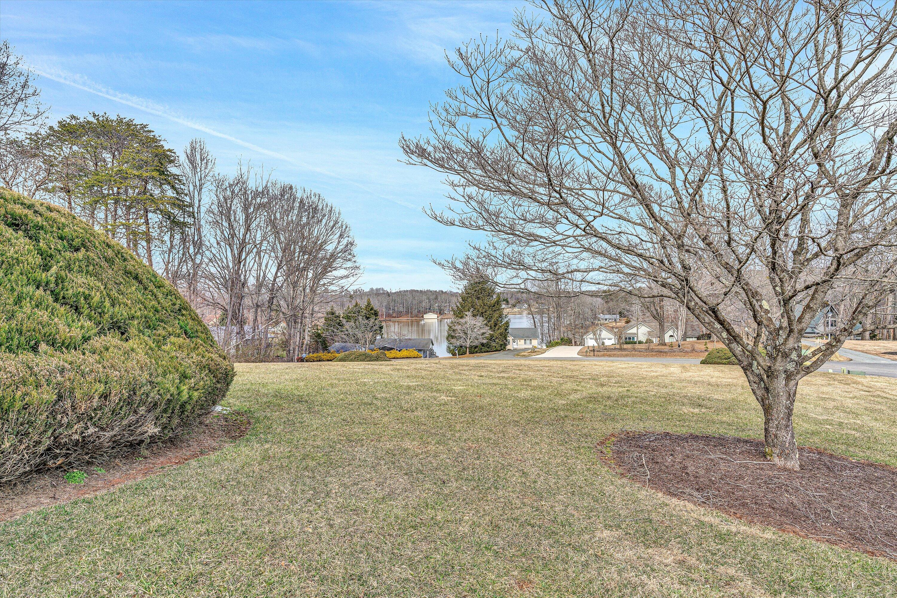 540 Cedar Ridge Road Union Hall, VA 24176 - Photo 38 of 46 a view of a yard with plants and trees