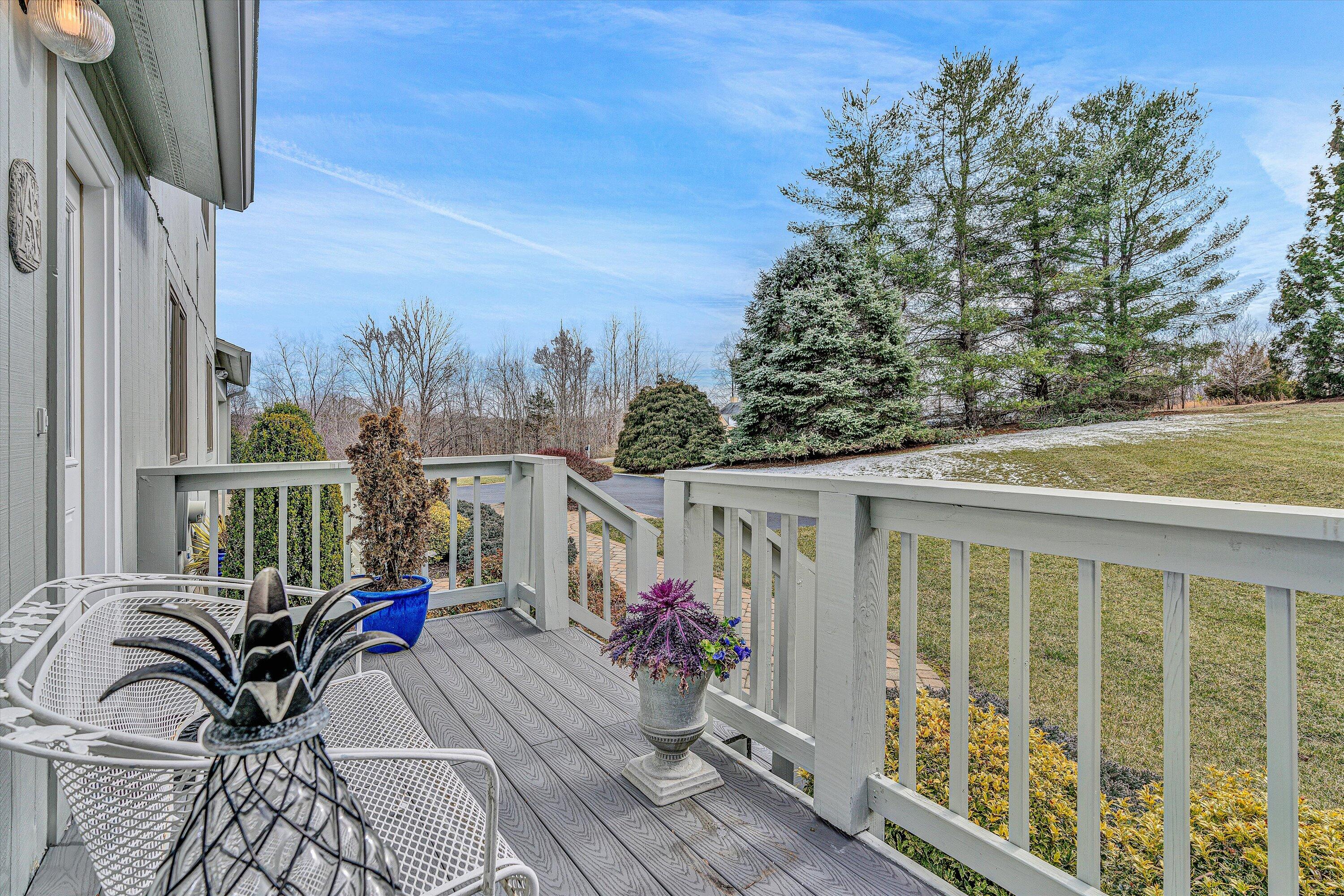 540 Cedar Ridge Road Union Hall, VA 24176 - Photo 4 of 46 a view of balcony with furniture