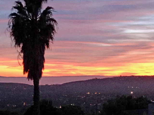 a view of backyard with a table and chairs and potted plants
