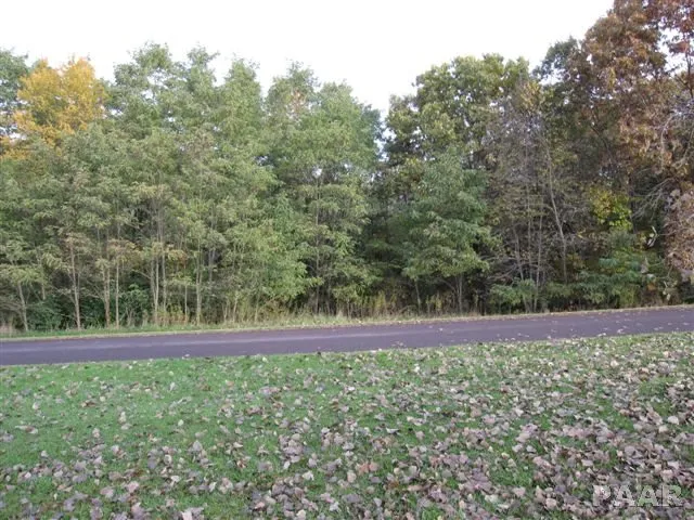 $19,500 | Lot 2 West Schmitt Lane, Edwards, IL 61528