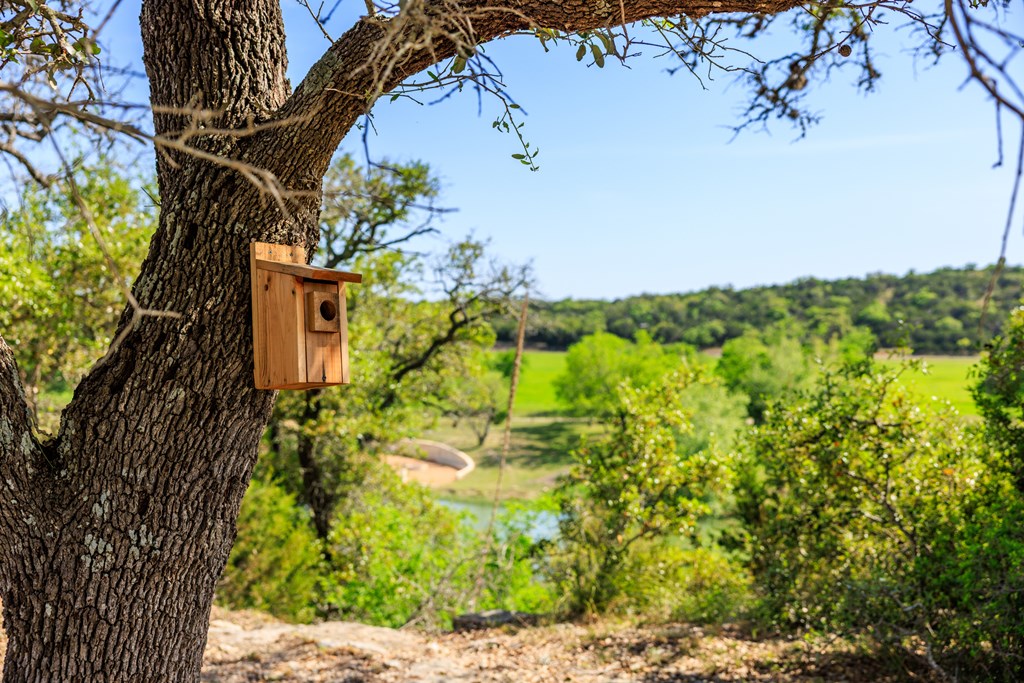 Lot 2 Byrd Ranch Road, Unit 2 Johnson City, TX 78636 - Photo 16 of 44