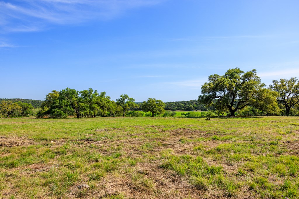 Lot 2 Byrd Ranch Road, Unit 2 Johnson City, TX 78636 - Photo 27 of 44