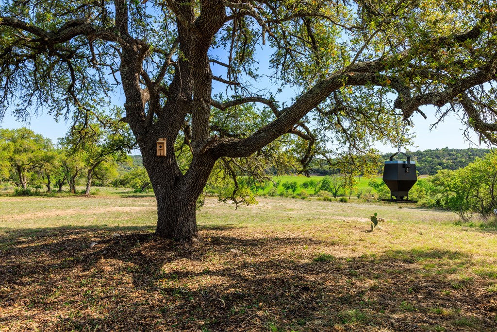 Lot 2 Byrd Ranch Road, Unit 2 Johnson City, TX 78636 - Photo 35 of 44